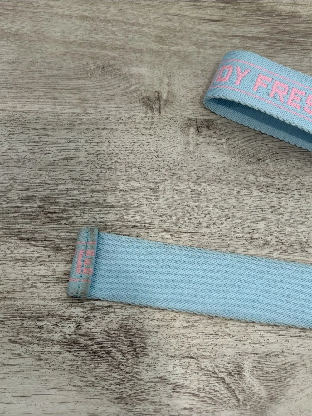 Teddy Fresh D-Ring Webbing Belt Pink Blue Embroidered Logo Streetwear 51
